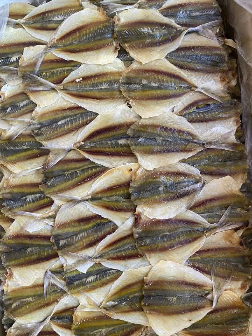 Cá Chỉ 1 Nắng