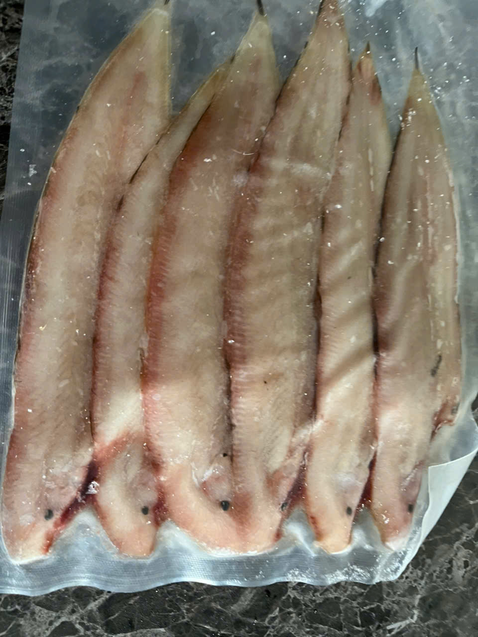 Cá Lưỡi Trâu