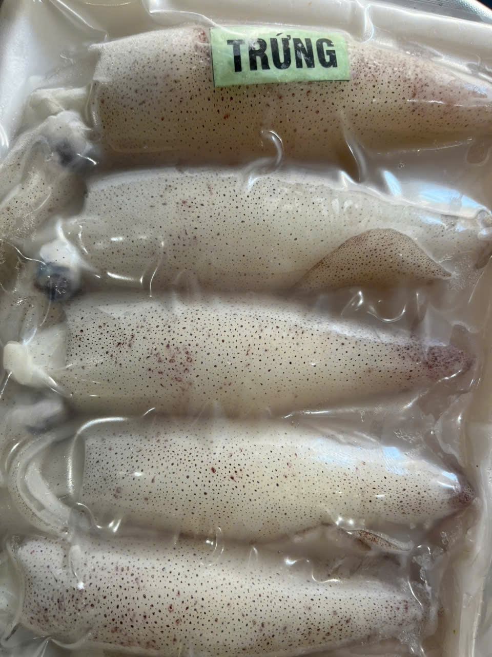 Mực Trứng